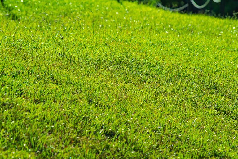 how-to-grow-grass-on-slopes-accurate-lawn-leveling