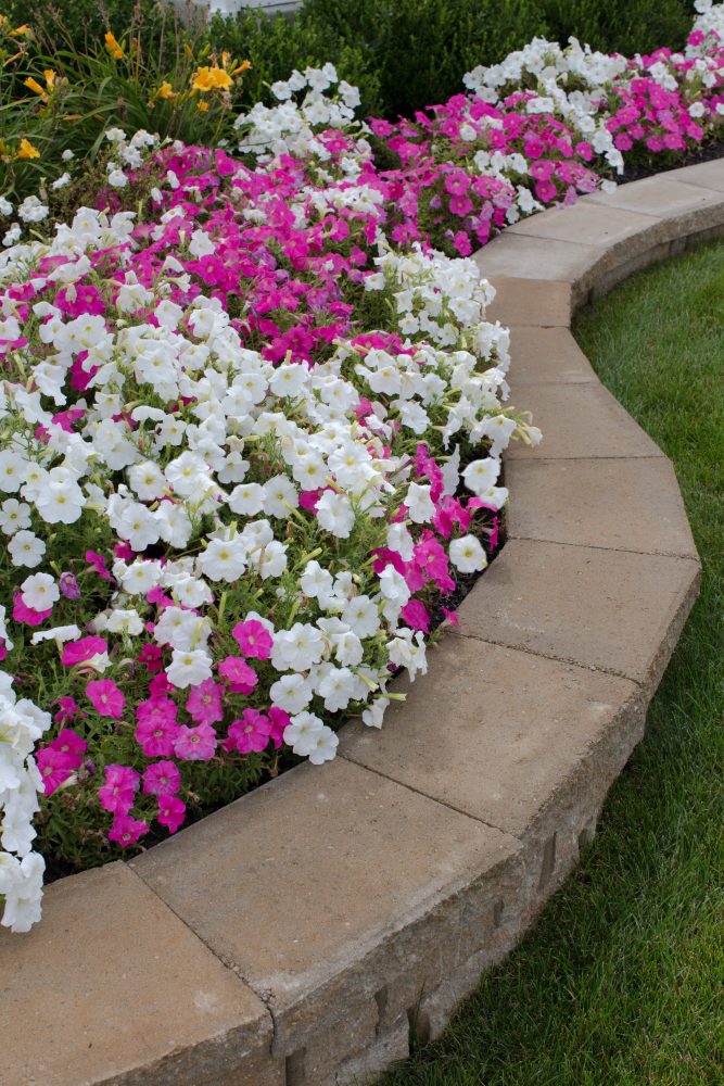 Expert Tips for Caring for Your Retaining Wall - Accurate Lawn Leveling