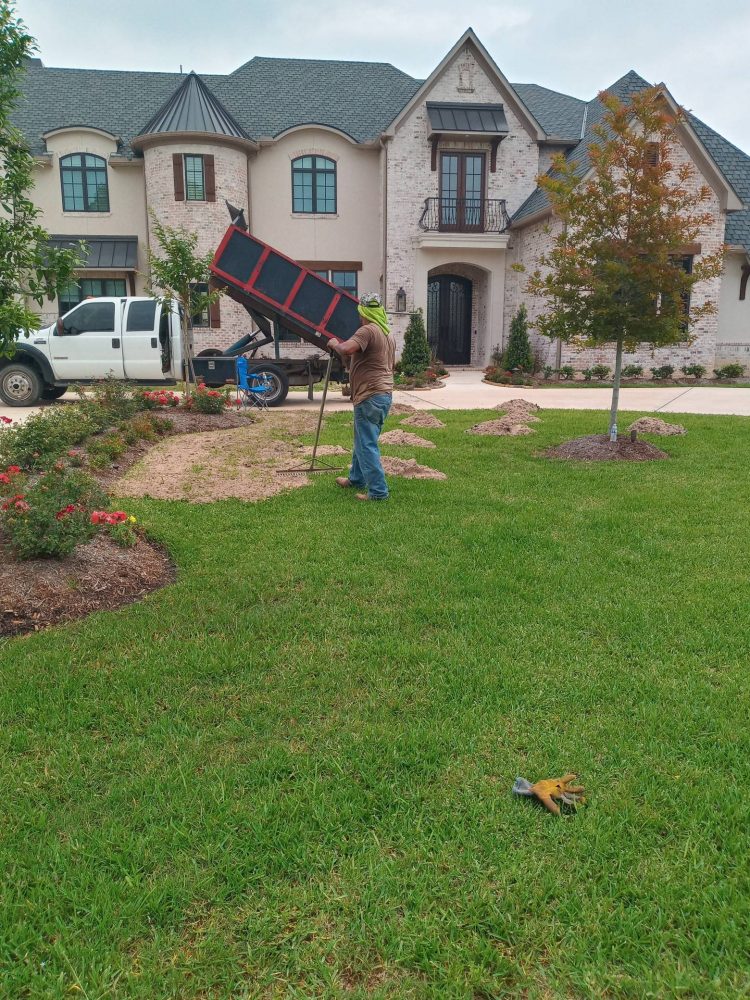 DIY vs. Pro: When to Call in the Lawn Leveling Experts