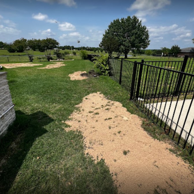 Goodbye, Gopher Holes! Repairing Uneven Lawns Caused by Animals